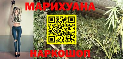кокс Кингисепп