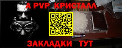 кокс Кингисепп