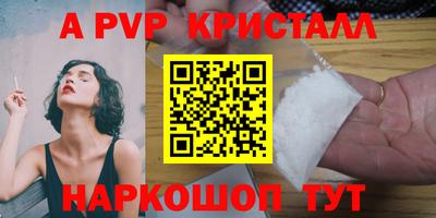 кокс Кингисепп