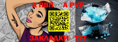 кокс Кингисепп