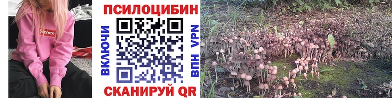 Галлюциногенные грибы мицелий Реутов