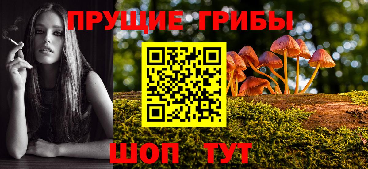 Псилоцибиновые грибы GOLDEN TEACHER  Вход с VPN  Реутов 
