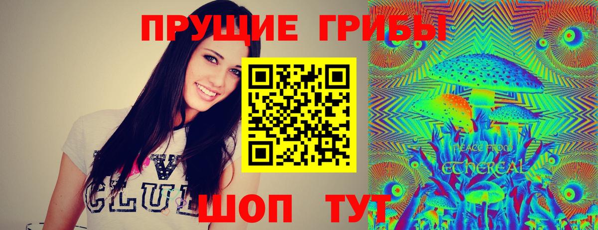 Псилоцибиновые грибы Cubensis Реутов